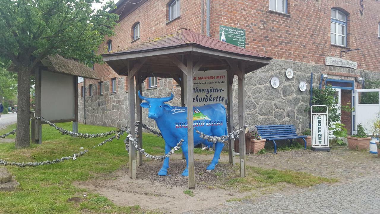 Ferienwohnung Finja In Putgarten, Kap Arkona Ruegen Экстерьер фото